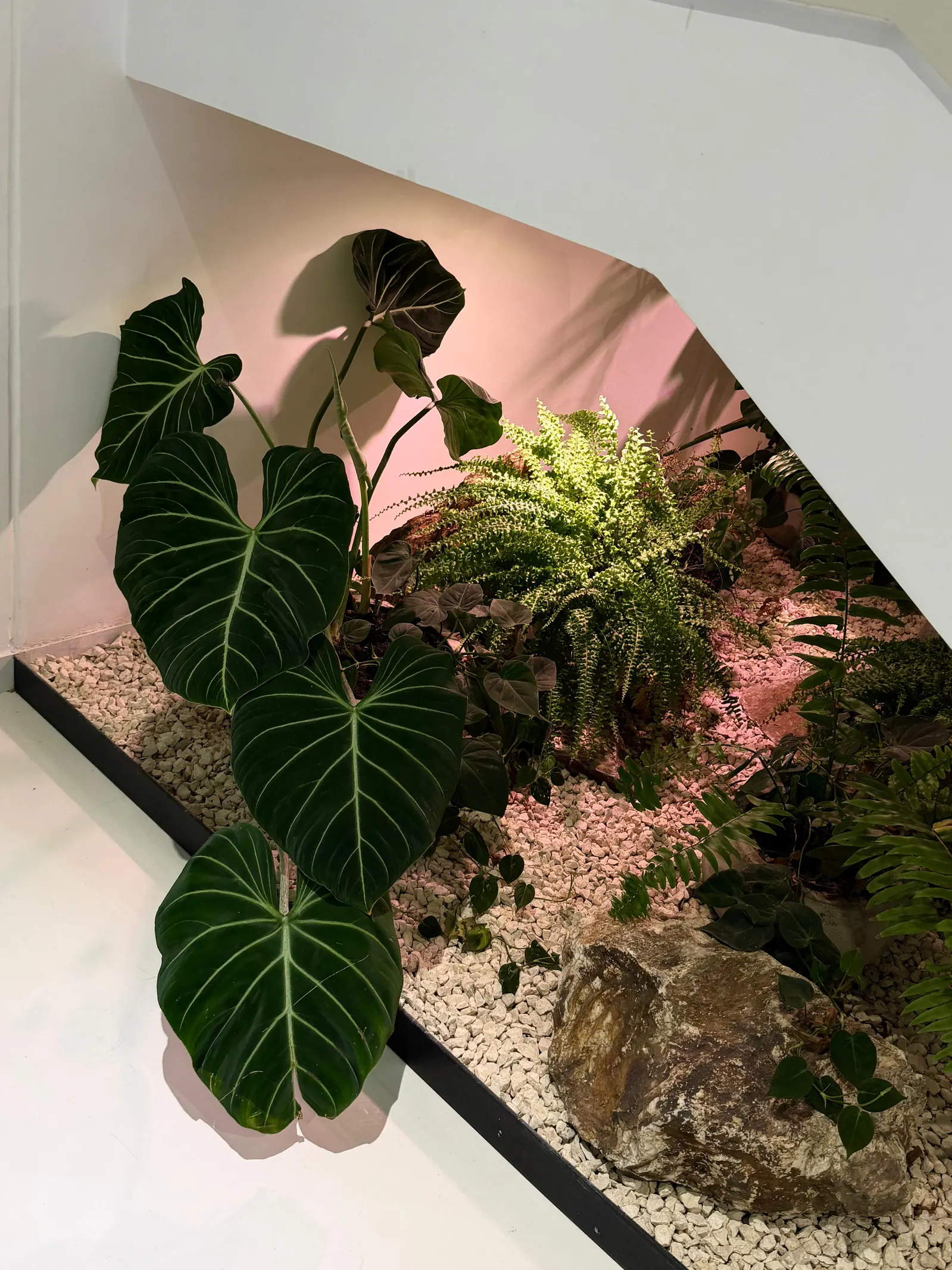Oficinas Crystal