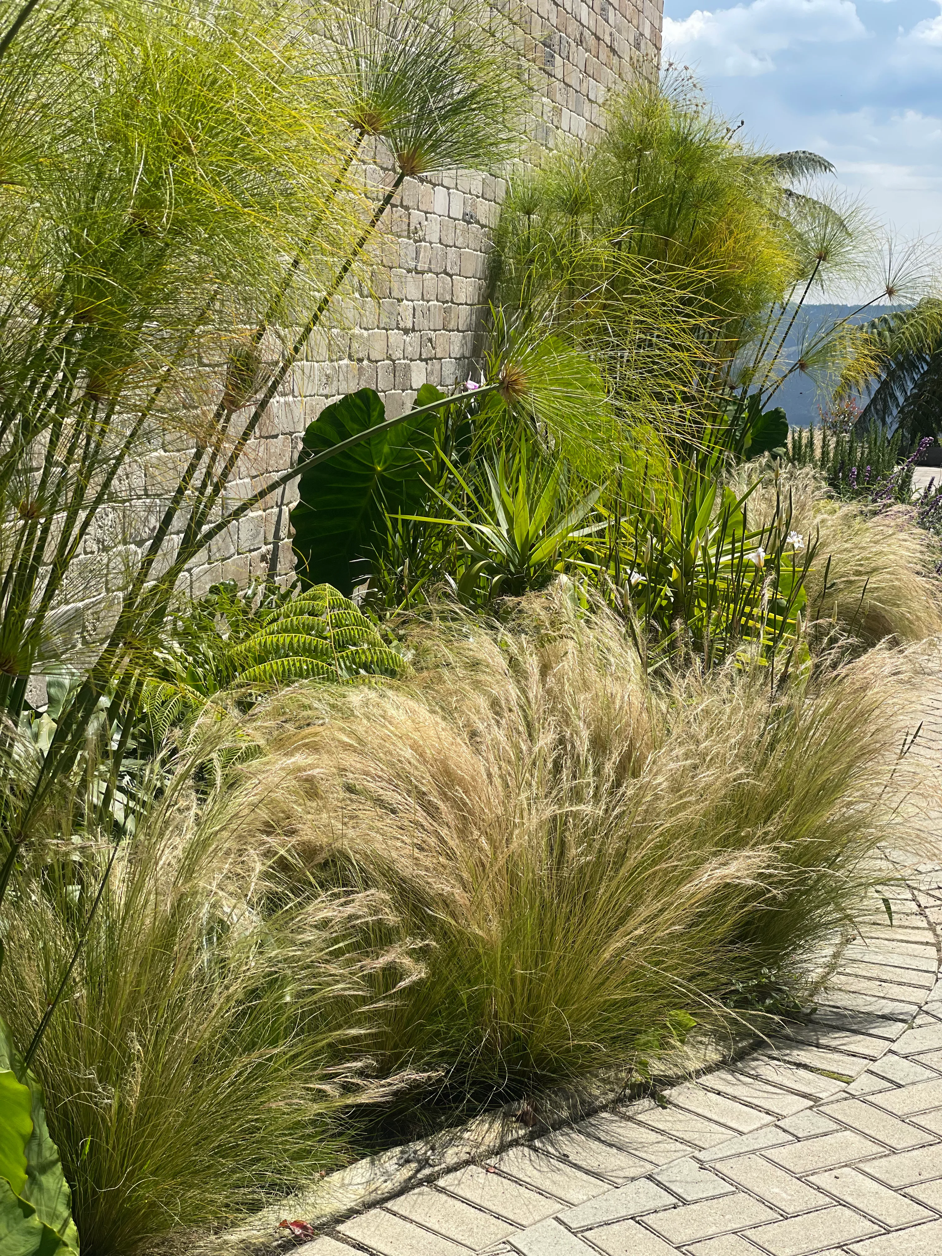 Jardín de portafolio